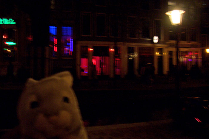 travel bunny amsterdam