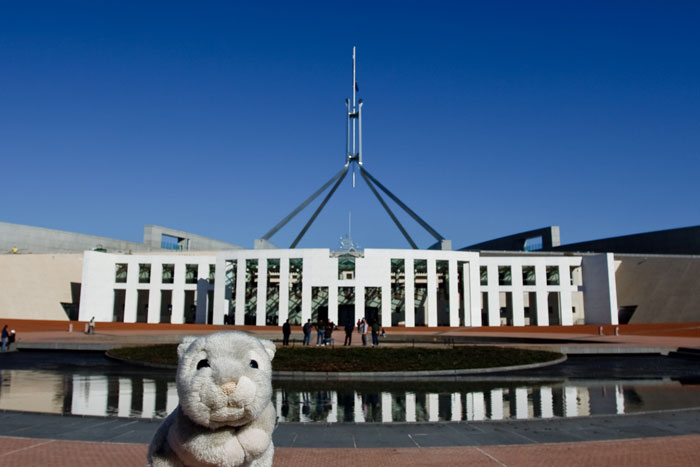travel bunny canberra