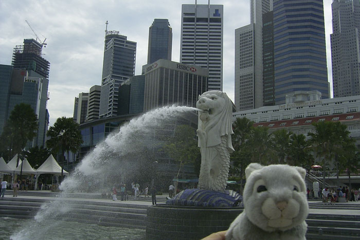 travel bunny singapore