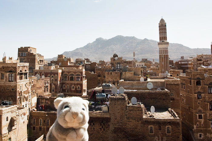 travel bunny yemen